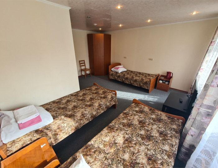 Стандарт 3-х местный - Пансионат «Пущино»